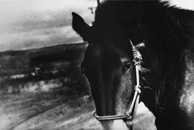 微信图片_20190118174924.jpg 微信图片_20190118174924.jpg