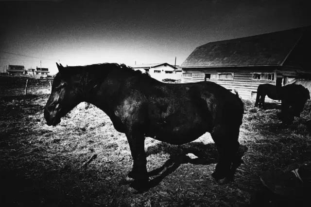 微信图片_20190118174927.jpg 微信图片_20190118174927.jpg