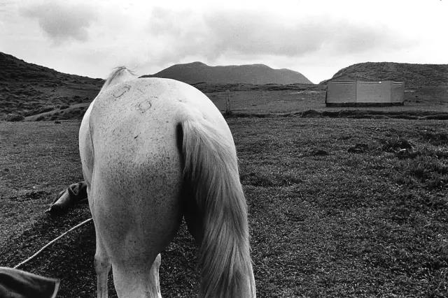 微信图片_20190118174954.jpg 微信图片_20190118174954.jpg