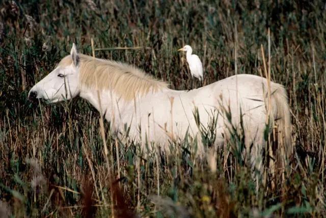 微信图片_20190118175023.jpg 微信图片_20190118175023.jpg