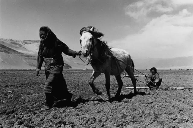 微信图片_20190118175034.jpg 微信图片_20190118175034.jpg