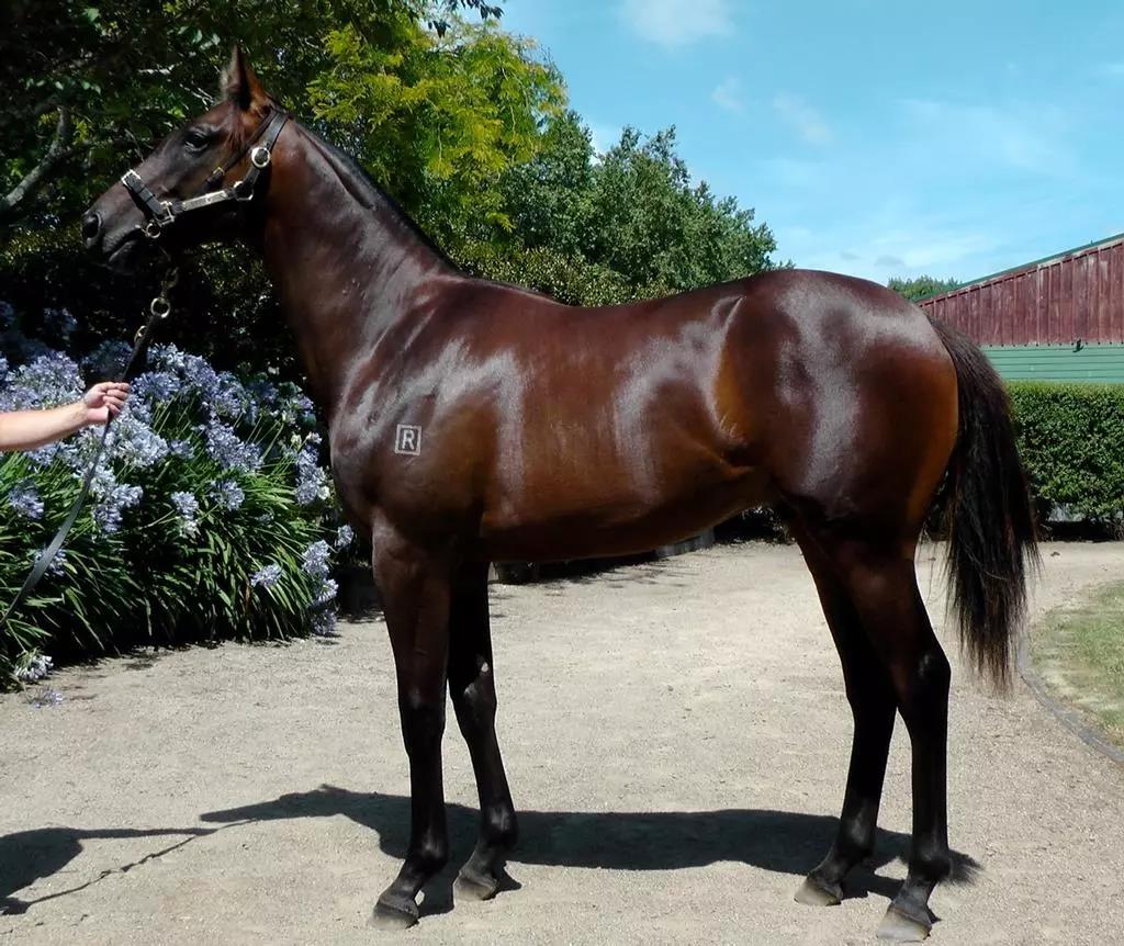 微信图片_20190123194529.jpg 微信图片_20190123194529.jpg