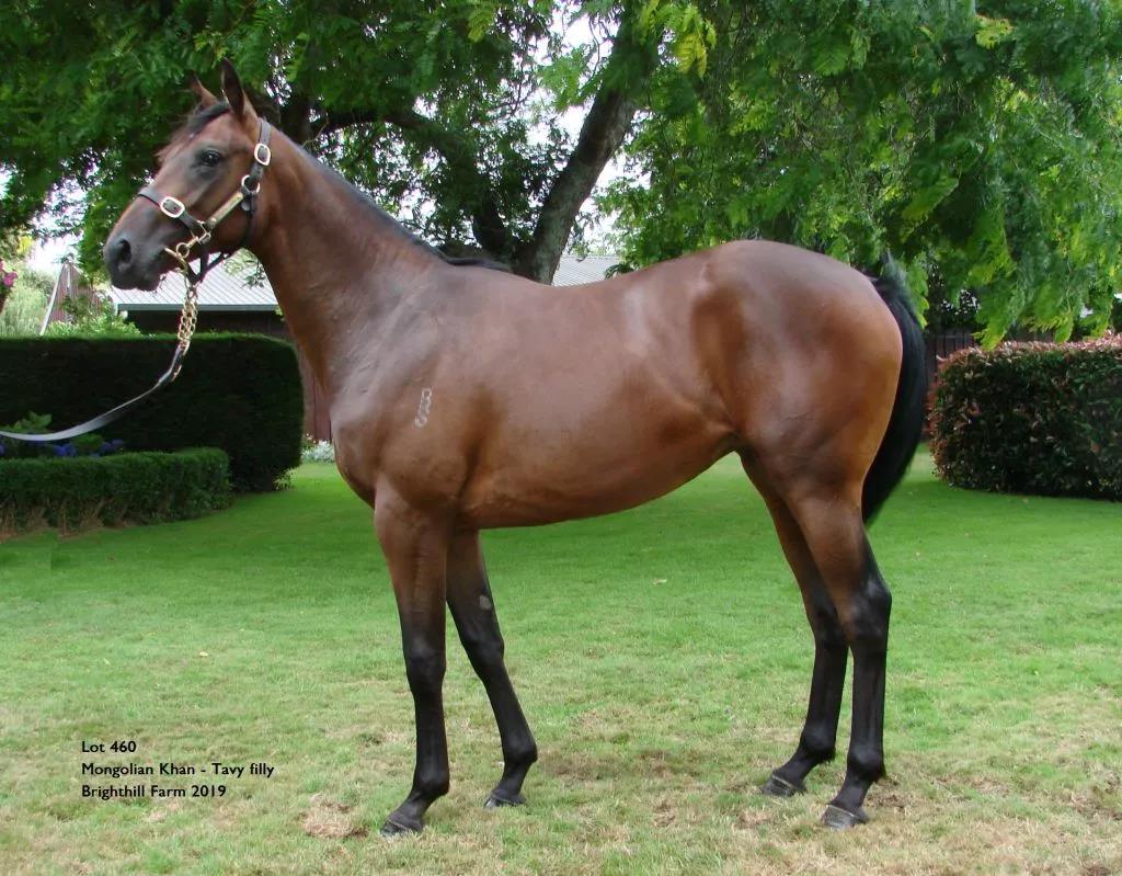 微信图片_20190123194532.jpg 微信图片_20190123194532.jpg