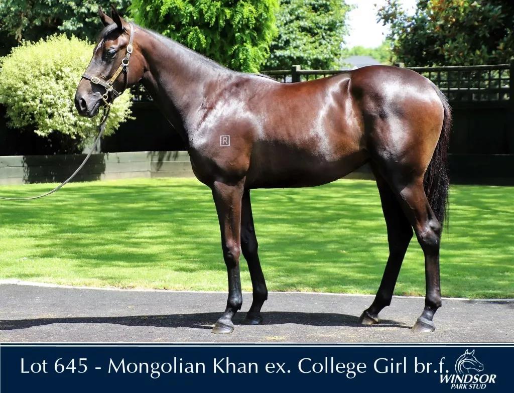 微信图片_20190123194539.jpg 微信图片_20190123194539.jpg