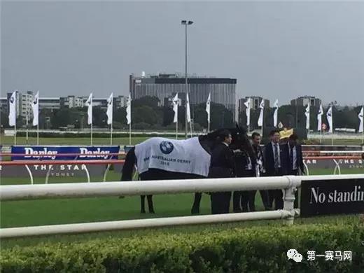 微信图片_20190123194608.jpg 微信图片_20190123194608.jpg