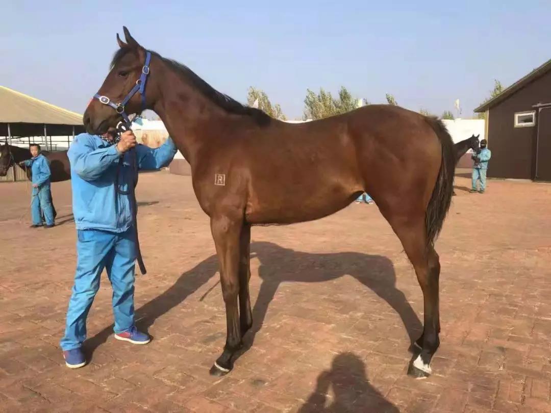 微信图片_20190125171839.jpg 微信图片_20190125171839.jpg