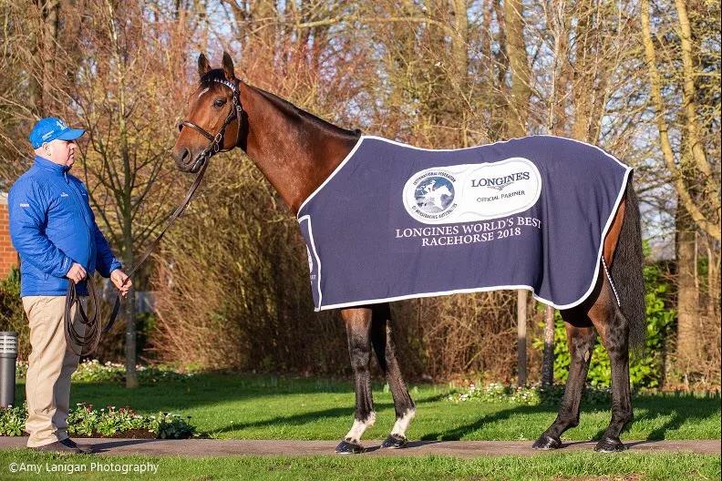 微信图片_20190125175708.jpg 微信图片_20190125175708.jpg