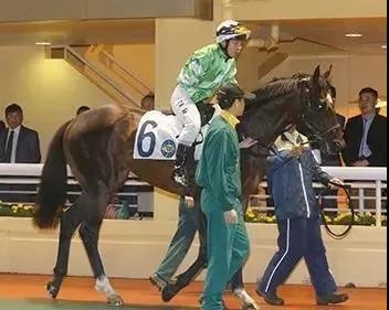 微信图片_20190125192740.jpg 微信图片_20190125192740.jpg