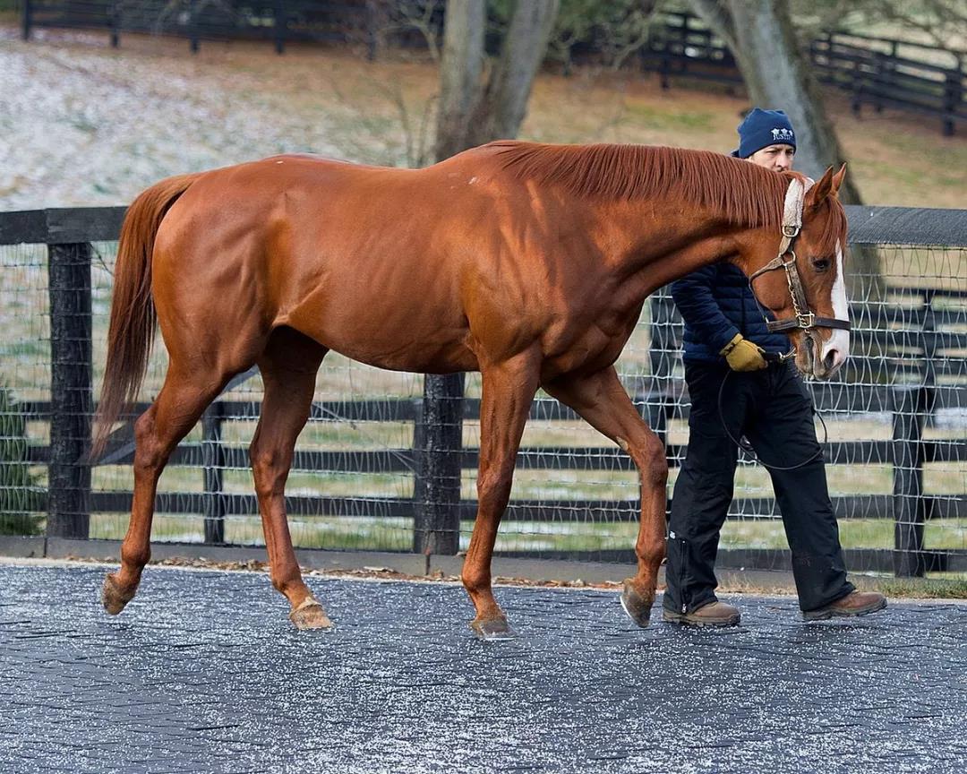 微信图片_20190125194726.jpg 微信图片_20190125194726.jpg