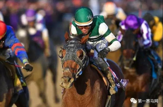 微信图片_20190125194731.jpg 微信图片_20190125194731.jpg