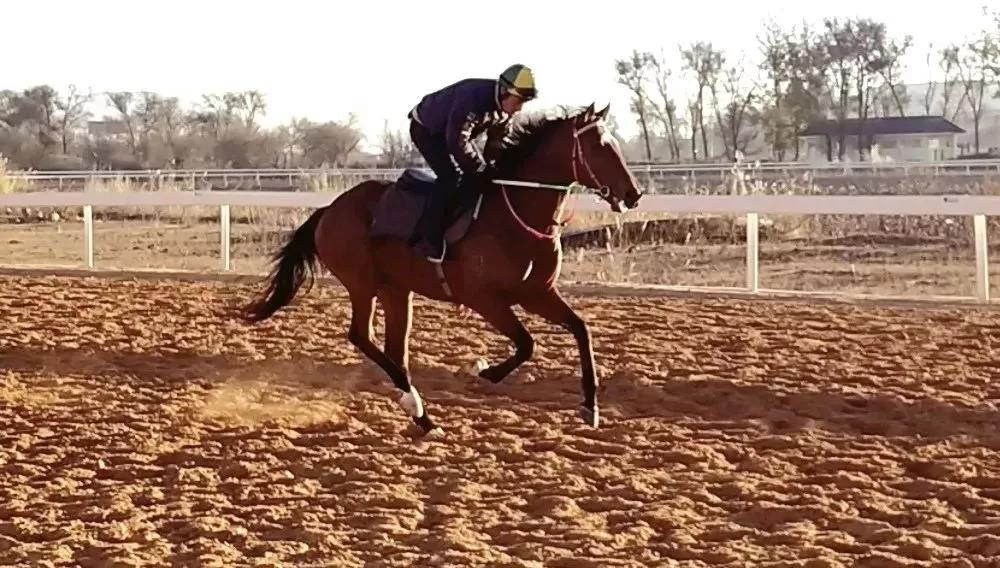 微信图片_20190127190157.jpg 微信图片_20190127190157.jpg