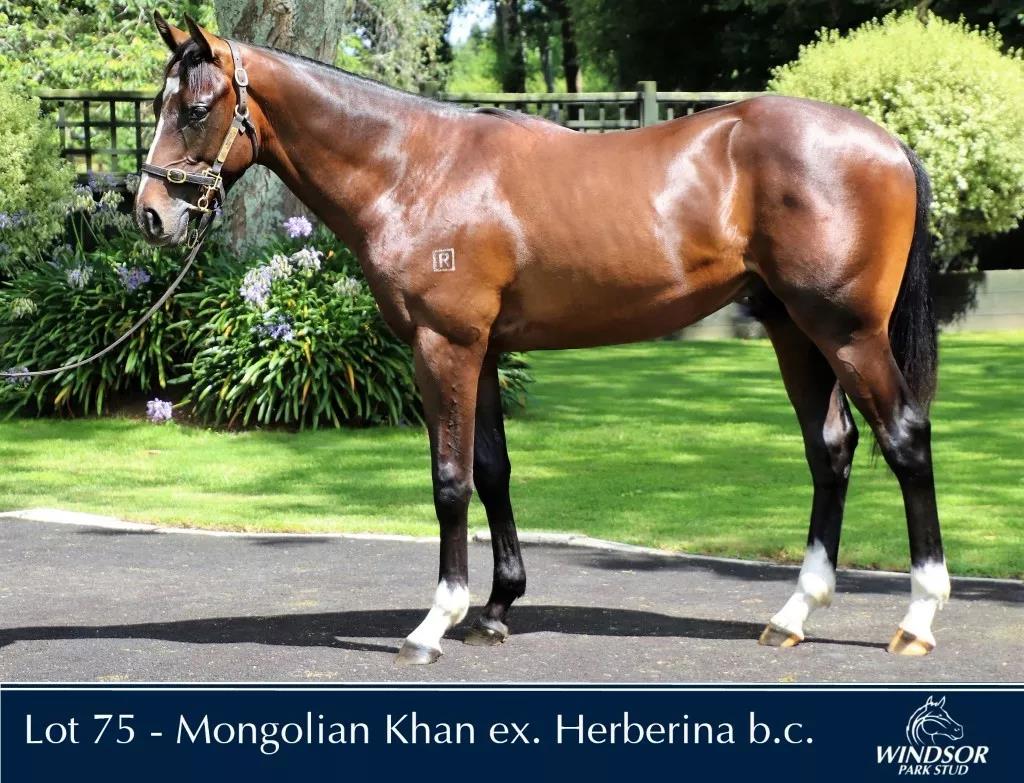 微信图片_20190127225458.jpg 微信图片_20190127225458.jpg