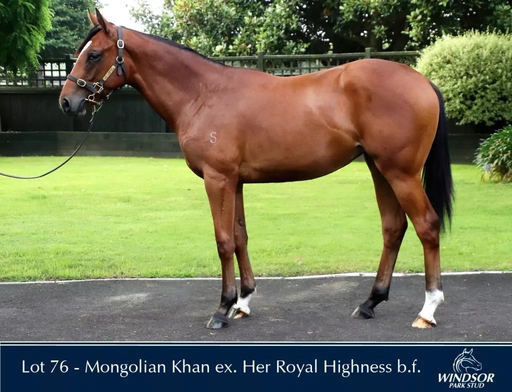 微信图片_20190127225700.jpg 微信图片_20190127225700.jpg