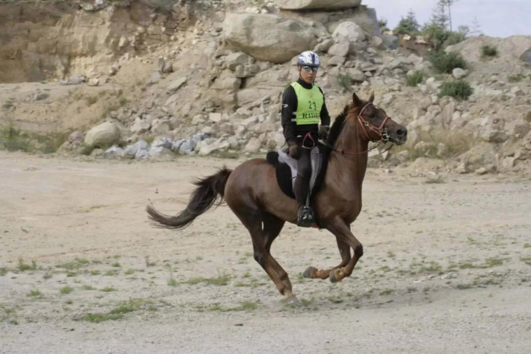 微信图片_20190130113347.jpg 微信图片_20190130113347.jpg