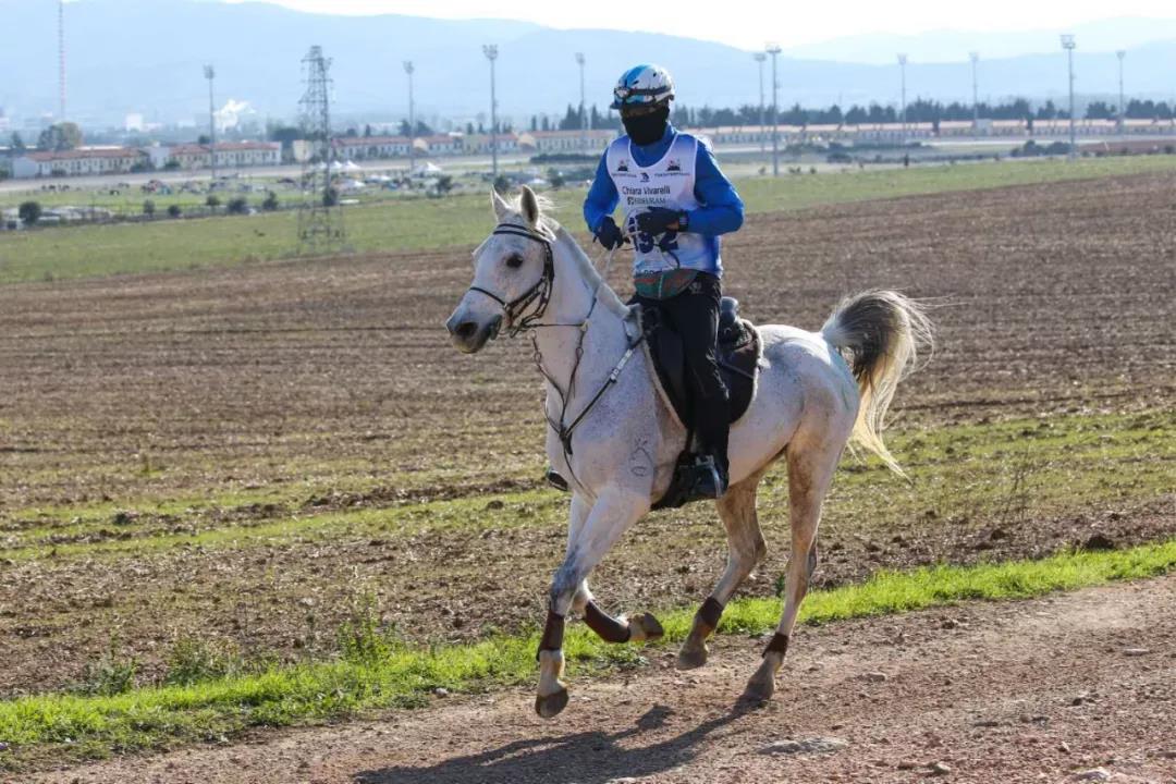 微信图片_20190130113350.jpg 微信图片_20190130113350.jpg