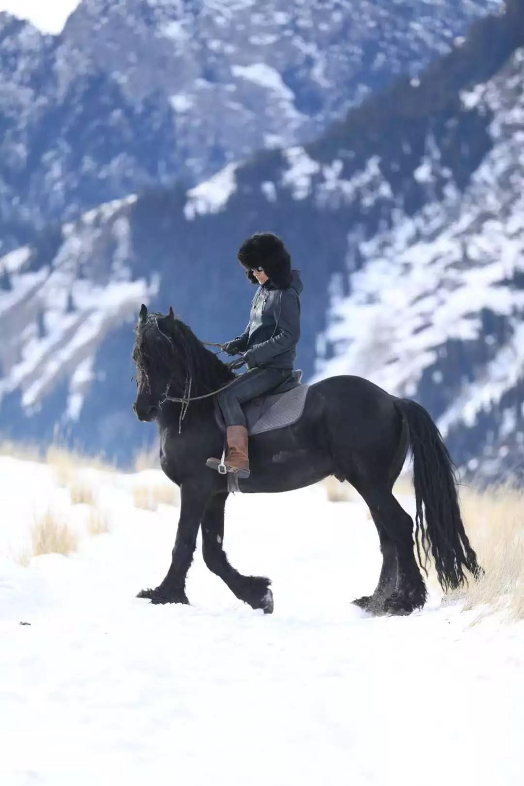 微信图片_20190130113400.jpg 微信图片_20190130113400.jpg