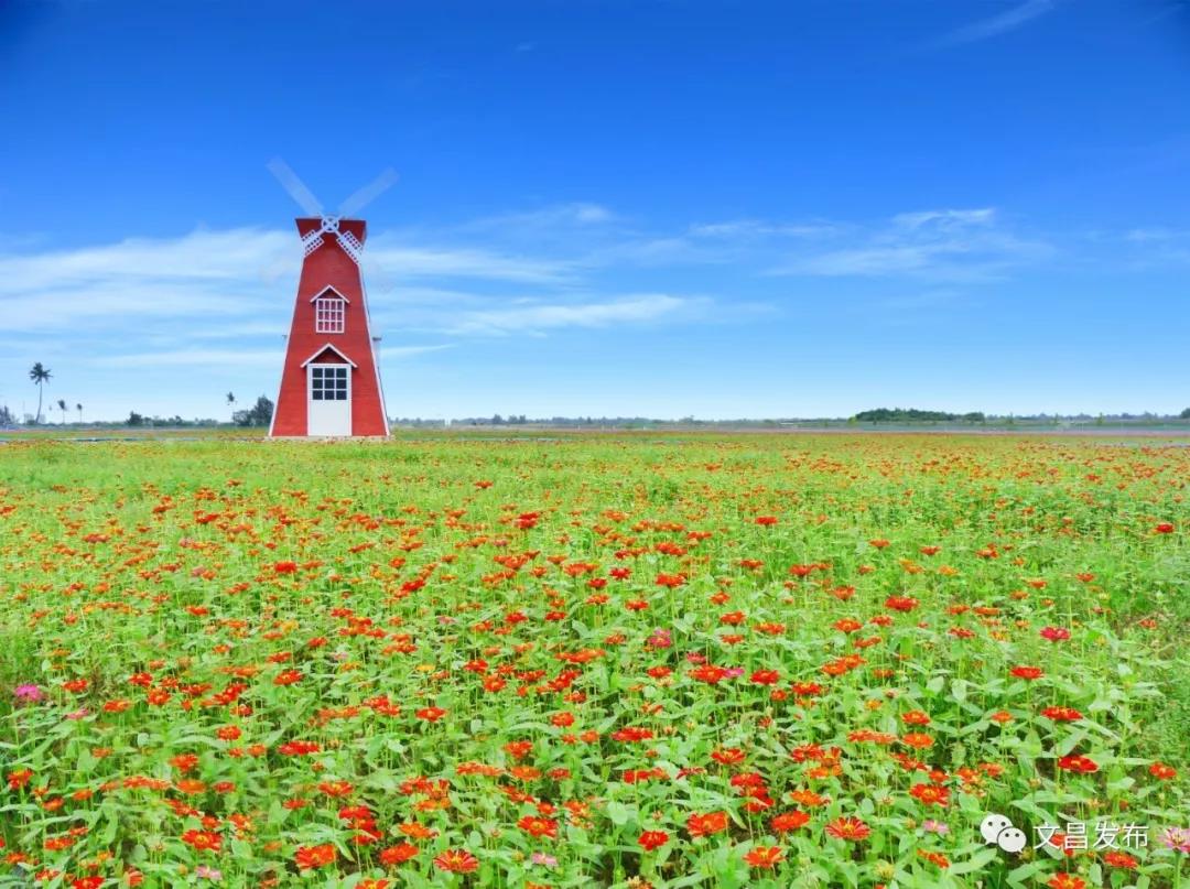 微信图片_20190130115319.jpg 微信图片_20190130115319.jpg