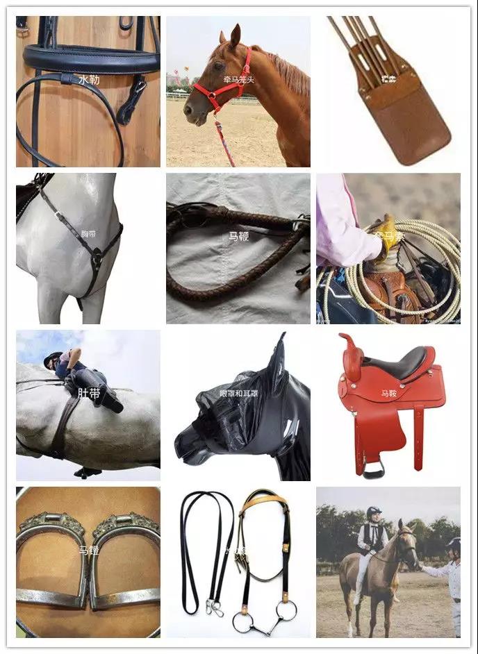 微信图片_20190201175045.jpg 微信图片_20190201175045.jpg