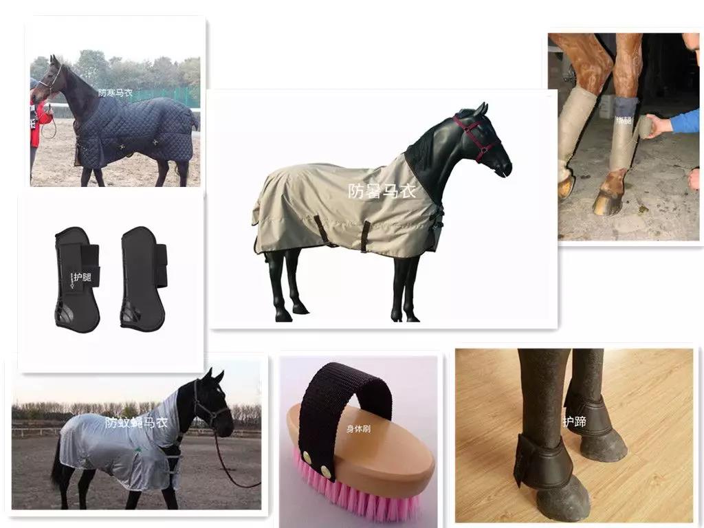 微信图片_20190201175105.jpg 微信图片_20190201175105.jpg