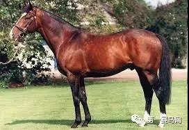 微信图片_20190201180211.jpg 微信图片_20190201180211.jpg