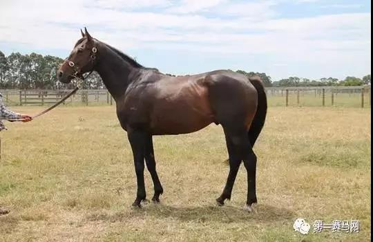 微信图片_20190201180231.jpg 微信图片_20190201180231.jpg