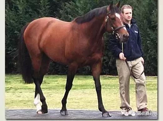 微信图片_20190201180234.jpg 微信图片_20190201180234.jpg