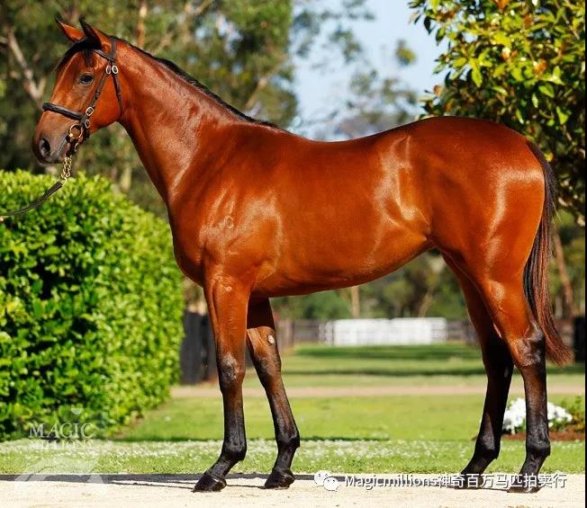 微信图片_20190206214406.jpg 微信图片_20190206214406.jpg