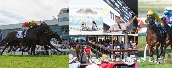 微信图片_20190206214414.jpg 微信图片_20190206214414.jpg