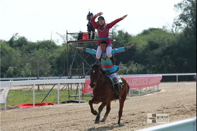 微信图片_20190208213227.jpg 微信图片_20190208213227.jpg