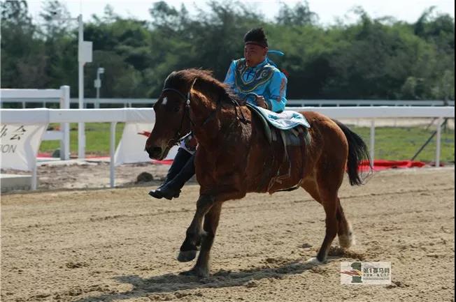 微信图片_20190208213421.jpg 微信图片_20190208213421.jpg