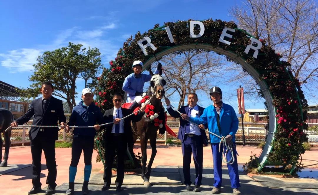 微信图片_20190209120234.jpg 微信图片_20190209120234.jpg