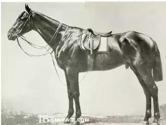 微信图片_20190211191632.jpg 微信图片_20190211191632.jpg