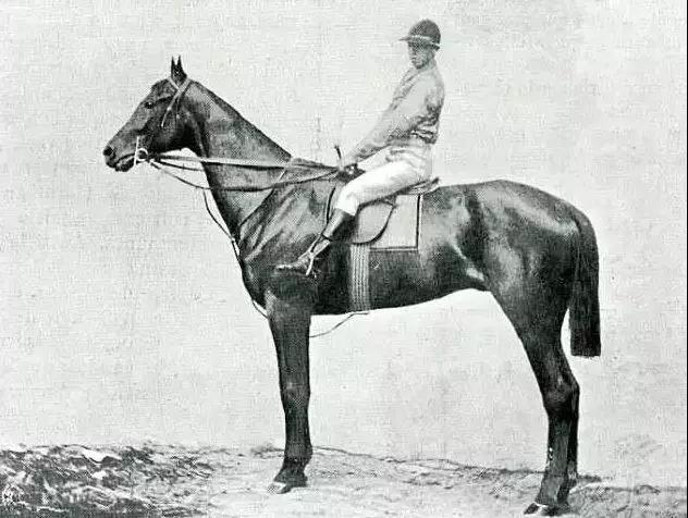 微信图片_20190211191637.jpg 微信图片_20190211191637.jpg