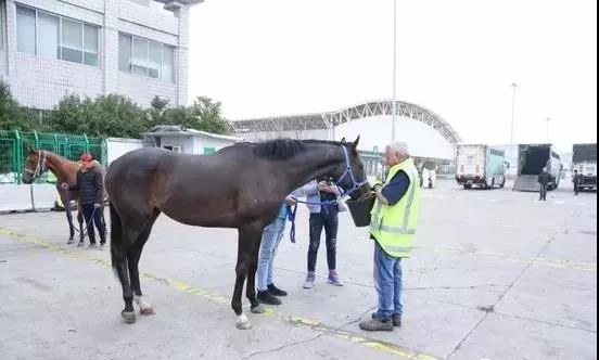 微信图片_20190221103817.jpg 微信图片_20190221103817.jpg