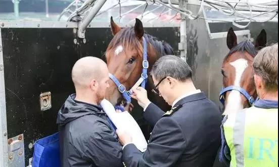 微信图片_20190221103823.jpg 微信图片_20190221103823.jpg