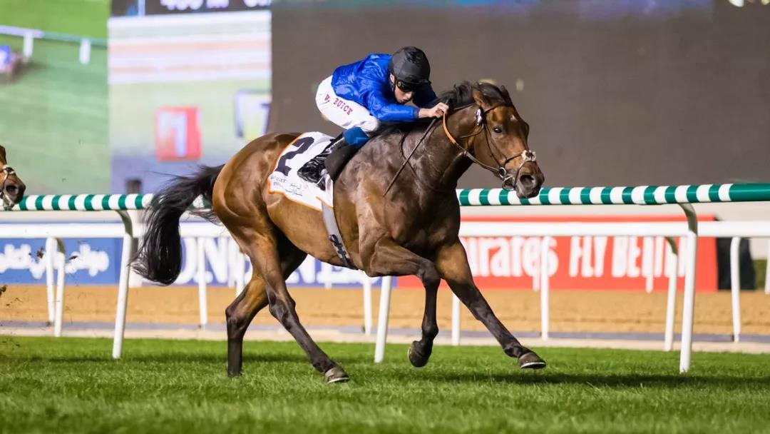 微信图片_20190223160313.jpg 微信图片_20190223160313.jpg