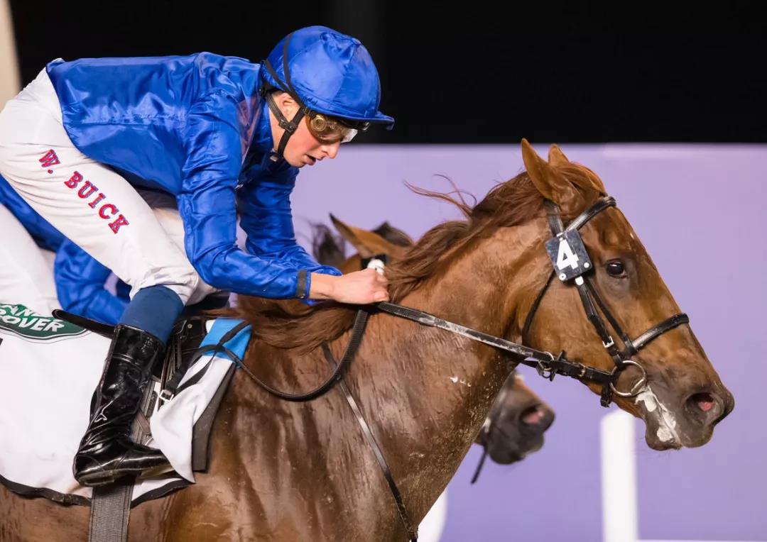 微信图片_20190223160317.jpg 微信图片_20190223160317.jpg