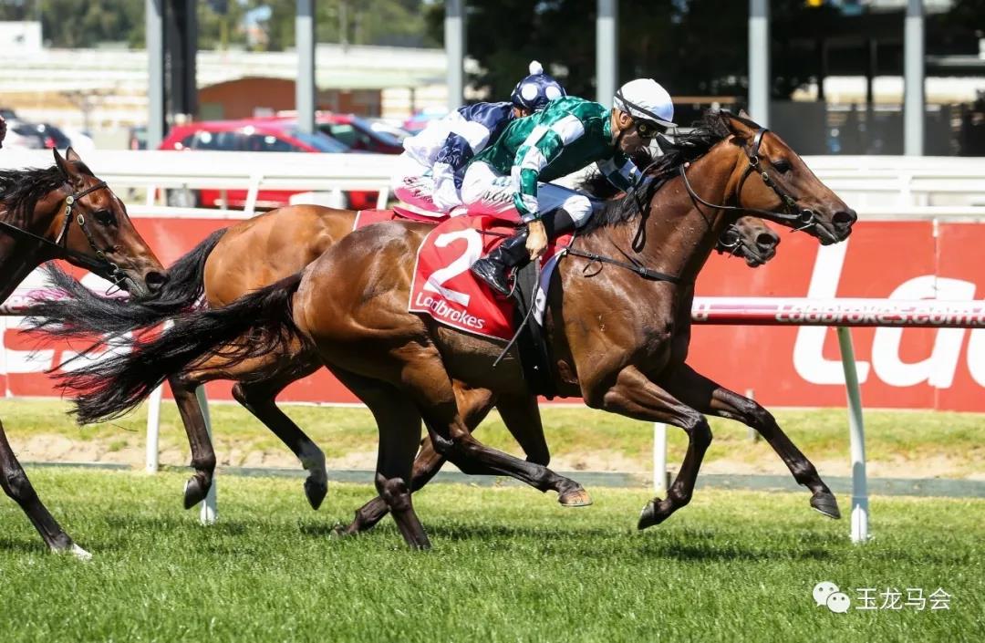 微信图片_20190225114303.jpg 微信图片_20190225114303.jpg