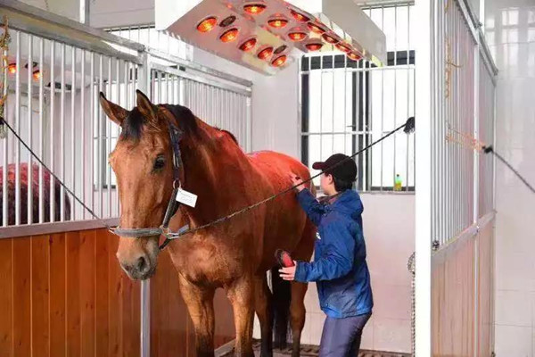 微信图片_20190301134622.jpg 微信图片_20190301134622.jpg