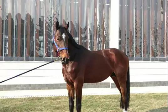 微信图片_20190301134643.jpg 微信图片_20190301134643.jpg