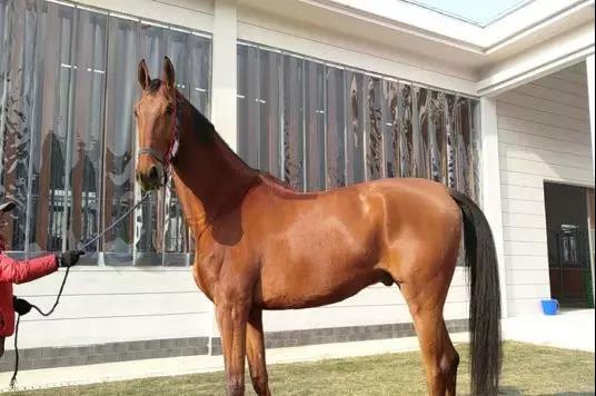 微信图片_20190301134646.jpg 微信图片_20190301134646.jpg