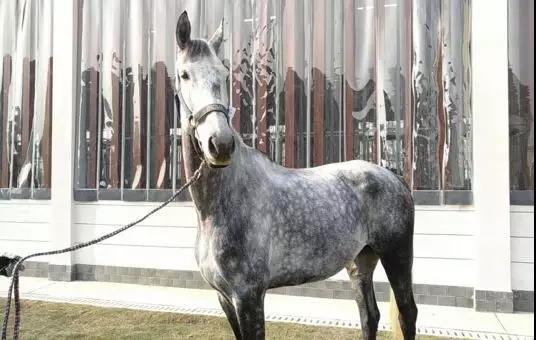 微信图片_20190301134649.jpg 微信图片_20190301134649.jpg