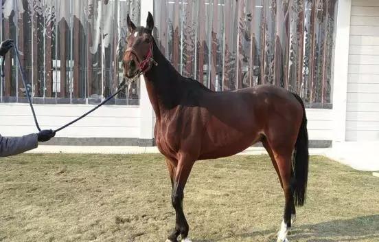 微信图片_20190301134652.jpg 微信图片_20190301134652.jpg