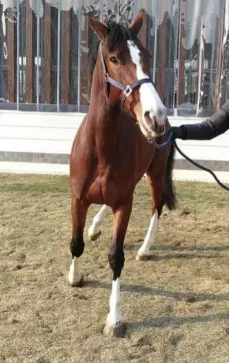 微信图片_20190301134655.jpg 微信图片_20190301134655.jpg