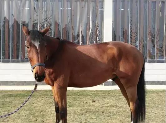 微信图片_20190301134658.jpg 微信图片_20190301134658.jpg