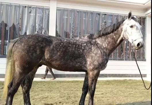 微信图片_20190301134701.jpg 微信图片_20190301134701.jpg