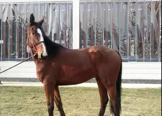 微信图片_20190301134715.jpg 微信图片_20190301134715.jpg