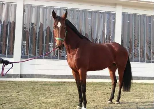 微信图片_20190301134718.jpg 微信图片_20190301134718.jpg