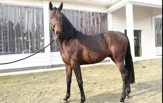 微信图片_20190301134722.jpg 微信图片_20190301134722.jpg