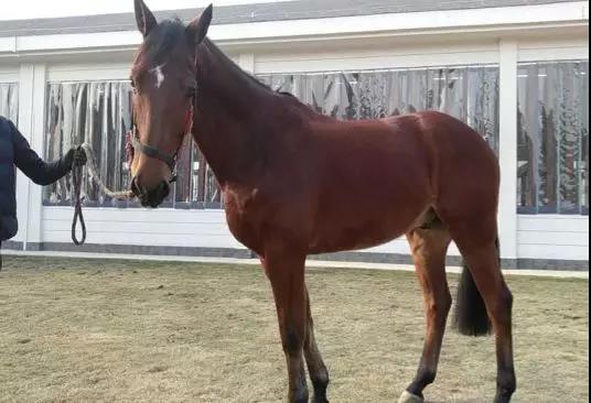 微信图片_20190301134725.jpg 微信图片_20190301134725.jpg